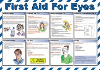 Click for a bigger picture.First Aid for Eyes. Poster.