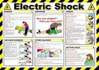 Click for a bigger picture.Electric Shock.