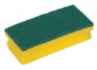 Click for a bigger picture.SPONGE SCOURER FINGER GRIP GREEN